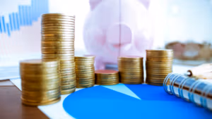 Dealing with Fluctuating Incomes-The Genesis Group